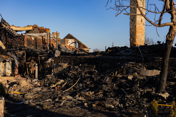 Reliable Emergency Fire Damage Restoration contractor in Magnolia, TX by Fire Damage Flint
